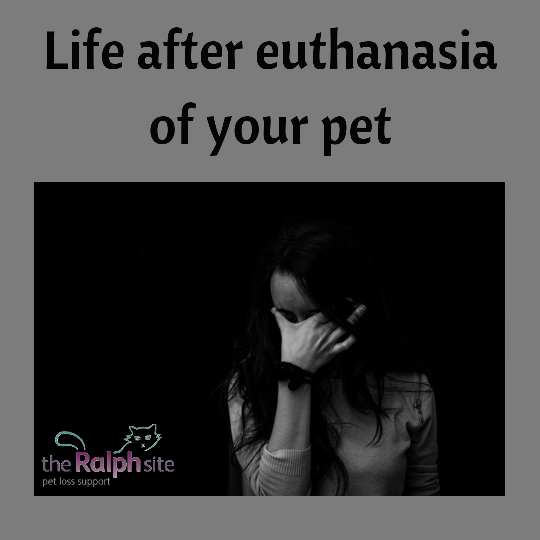 Life after euthanasia for bereaved pet carers